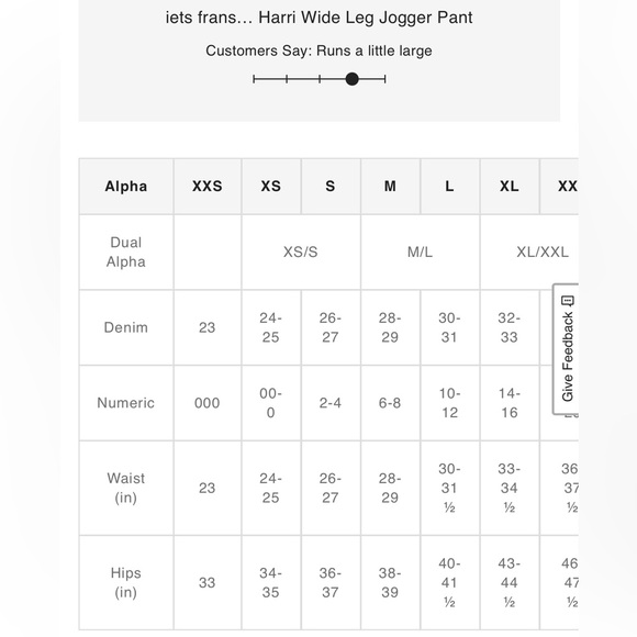 iets frans & Urban Outfitters Harri Wide Leg Jogger Pant - Gray SweatPants - Picture 6 of 8